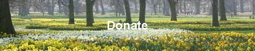 Donate
