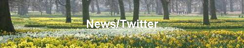 News/Twitter