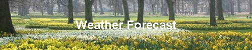 Weather Forecast
